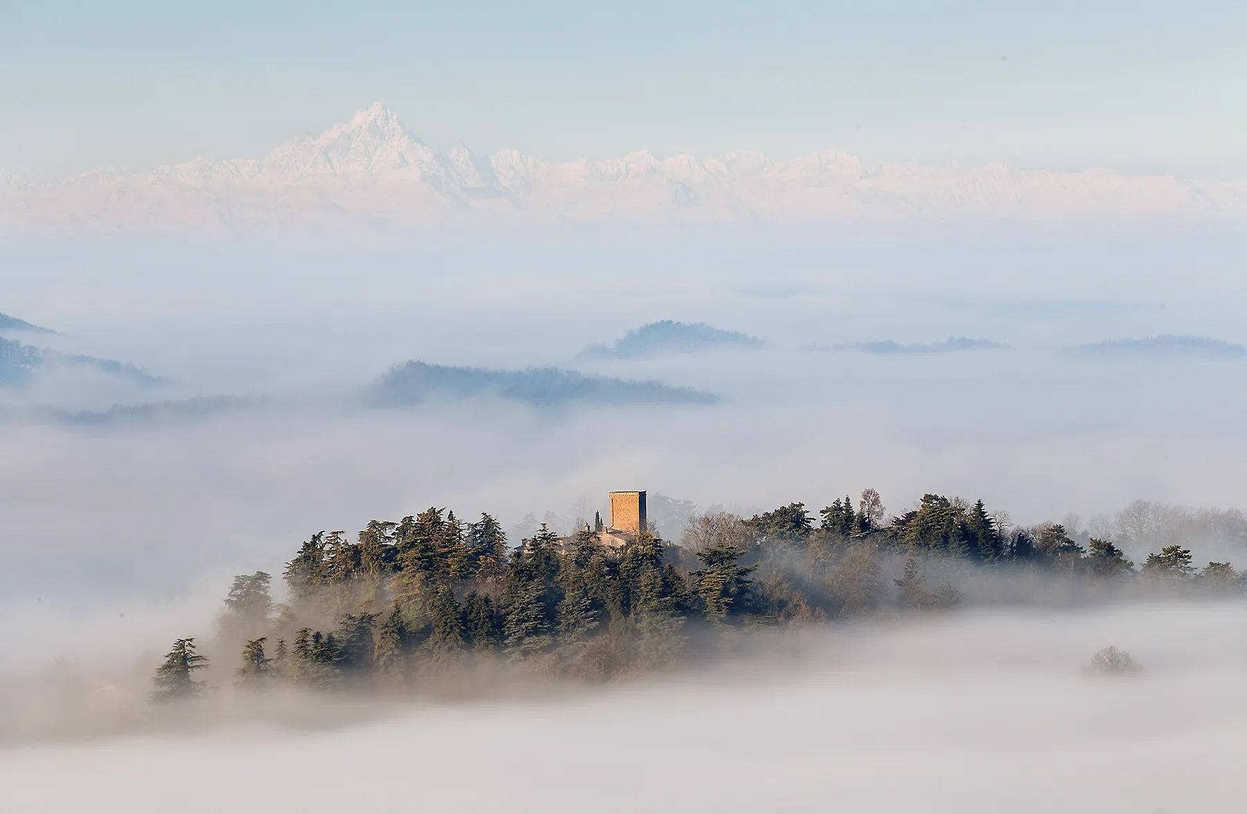 Bonarda Vivace Tenuta il Bosco